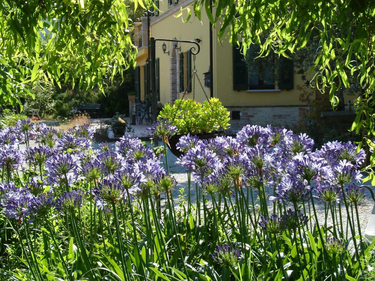 Il Melograno B&B Massignano Exterior photo