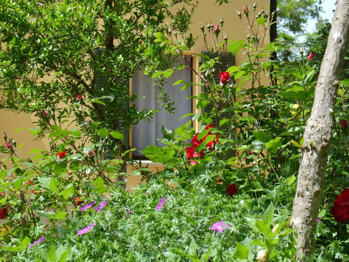 Il Melograno B&B Massignano Exterior photo